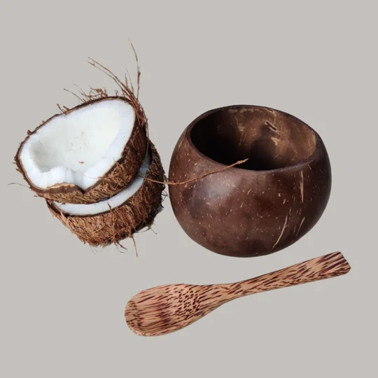 Coconut Shell Bowl with Spoon Pack of 2