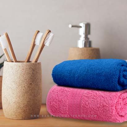 Pink and Blue Bamboo Hand Towel Pack of 2