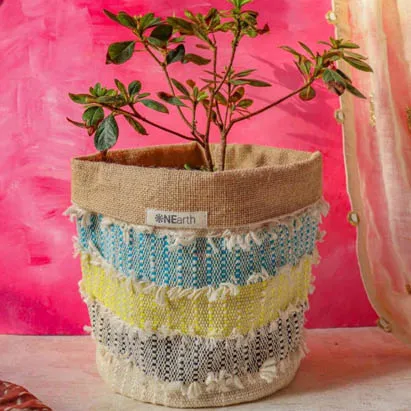 Jute Bags or Planters